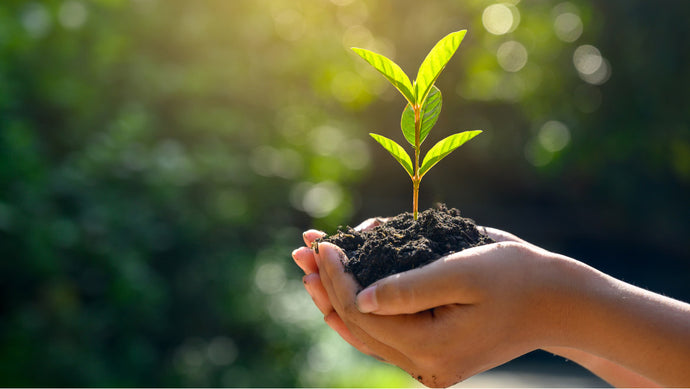 A better world is possible with woodhot
